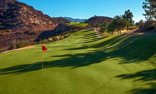 putting green red flag